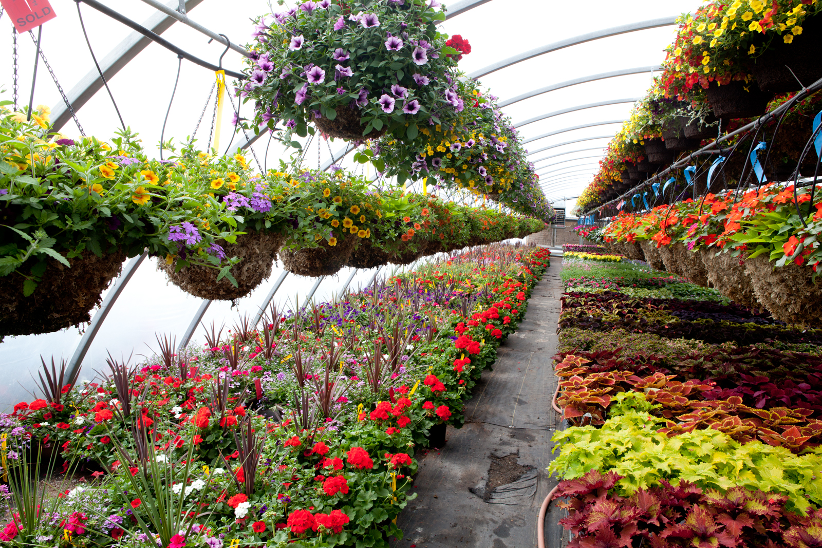 Plant Nurseries