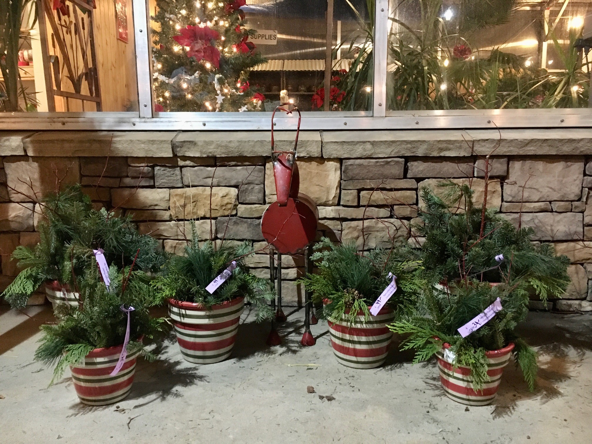Holiday Porch Pots and Fresh Evergreens Creek Side Gardens