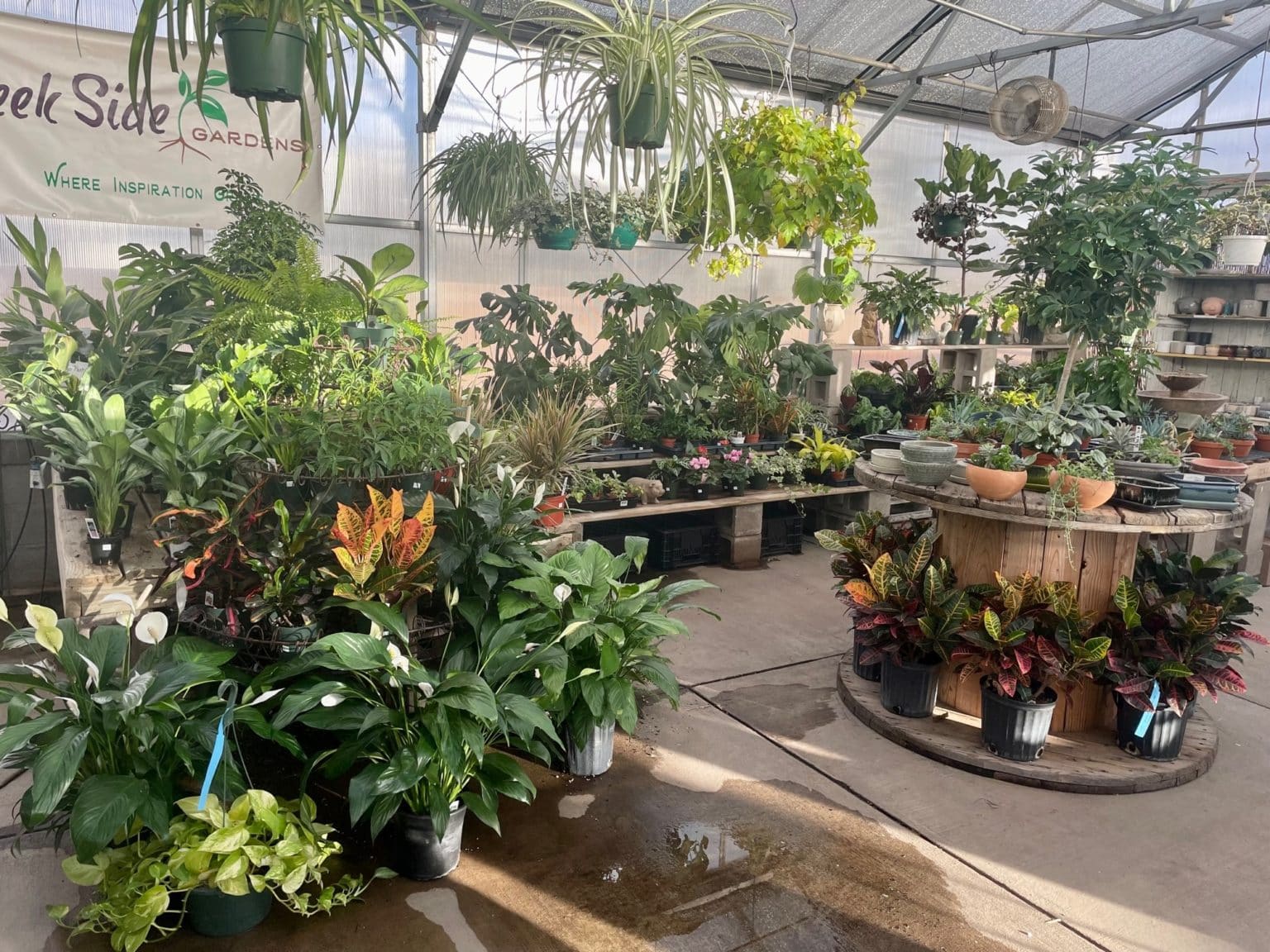 Gardening classes near me